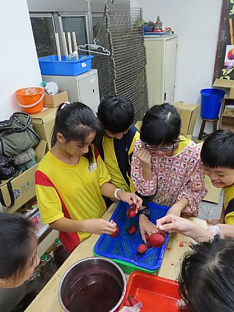 放大圖：