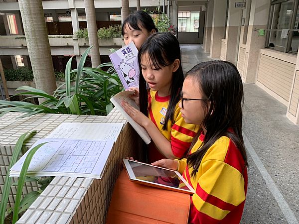 放大圖：