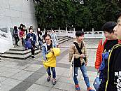 最新相簿圖片縮圖：