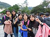 最新相簿圖片縮圖：