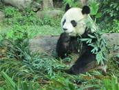 最新相簿圖片縮圖：