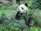 最新相簿圖片縮圖：