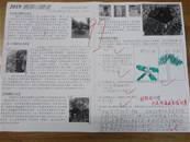 縮圖：
