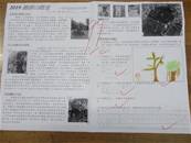 縮圖：
