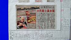 縮圖：