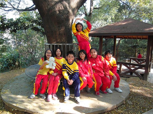 放大圖：