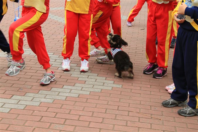 放大圖：