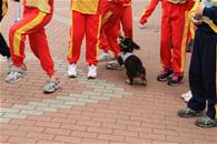 縮圖：