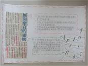 縮圖：