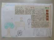 縮圖：