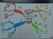縮圖：