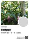 縮圖：