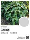 縮圖：