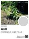 縮圖：