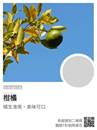 縮圖：