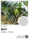 縮圖：