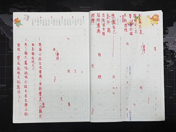 放大圖：
