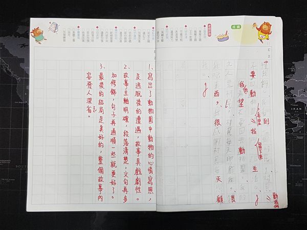 放大圖：