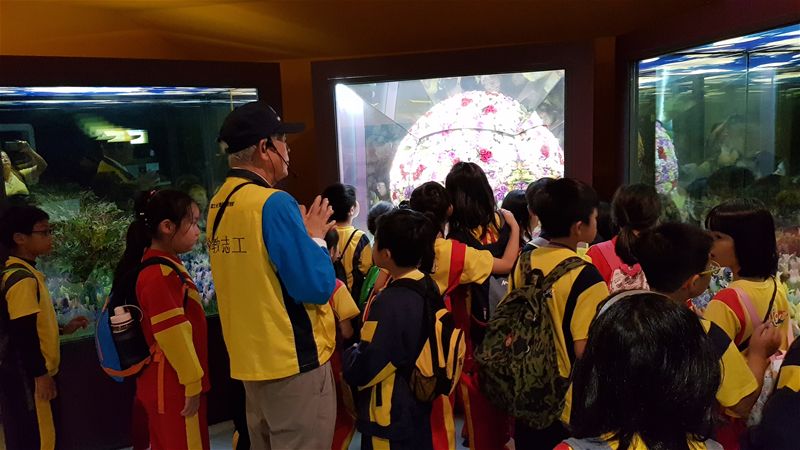 放大圖：