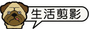 按鈕：連結至學生活動照片