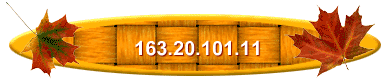 163.20.101.11