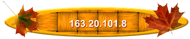163.20.101.8