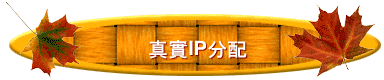 uIPt